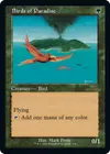 Product image for Birds of Paradise