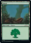 Product image for Forest