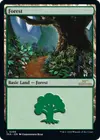 Product image for Forest