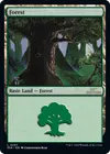 Product image for Forest