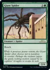 Product image for Giant Spider