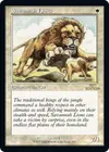 Product image for Savannah Lions