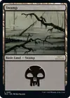 Product image for Swamp