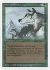 Product image for Aspect of Wolf