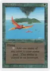 Product image for Birds of Paradise