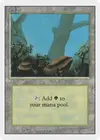 Product image for Forest