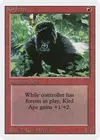Product image for Kird Ape