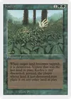 Product image for Kudzu