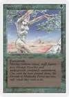 Product image for Shanodin Dryads