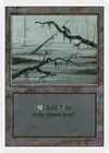 Product image for Swamp
