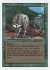 Product image for Timber Wolves