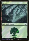 Product image for Forêt