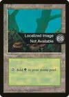Product image for Forest
