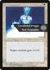 Product image for Holy Strength