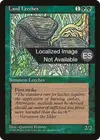 Product image for Sangsues terrestres