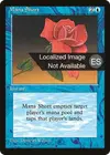 Product image for Mana Short