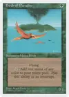 Product image for Birds of Paradise