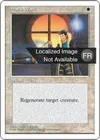 Product image for Survie
