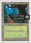 Product image for Forêt