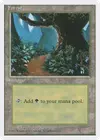 Product image for Forest