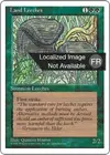 Product image for Sangsues terrestres
