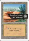 Product image for Oasis