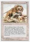 Product image for Savannah Lions