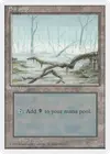 Product image for Swamp