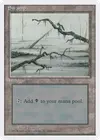Product image for Swamp