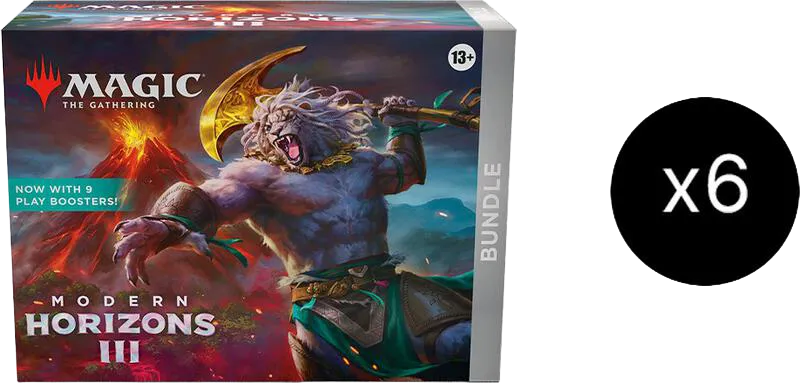 Case de bundles Horizons du Modern 3 — Modern Horizons 3 — Magic: The Gathering