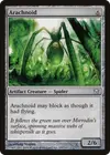 Product image for Arachnoid