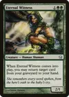 Product image for Eternal Witness