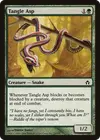 Product image for Tangle Asp