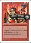 Product image for Frères de feu