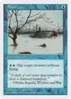 Product image for Flood