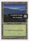 Product image for Forêt