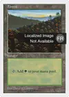 Product image for Forêt