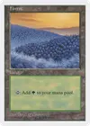 Product image for Forest