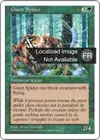 Product image for Araignée géante