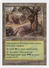 Product image for Havenwood Battleground