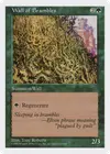 Product image for Wall of Brambles