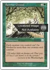 Product image for Terrain familier