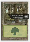 Product image for Forêt