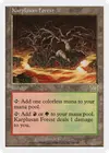 Product image for Karplusan Forest