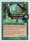 Product image for Boa des rivières