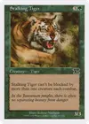 Product image for Stalking Tiger