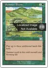 Product image for Floraison estivale