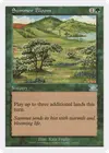 Product image for Summer Bloom