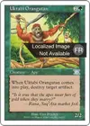 Product image for Orang-outang de l'Ouktabi