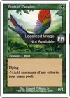 Product image for Oiseaux de paradis